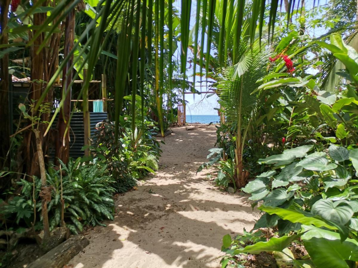 Oasis Puerto Viejo de Talamanca Exterior foto