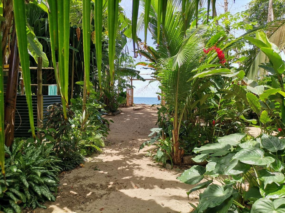 Oasis Puerto Viejo de Talamanca Exterior foto
