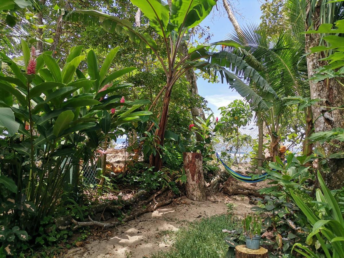 Oasis Puerto Viejo de Talamanca Exterior foto