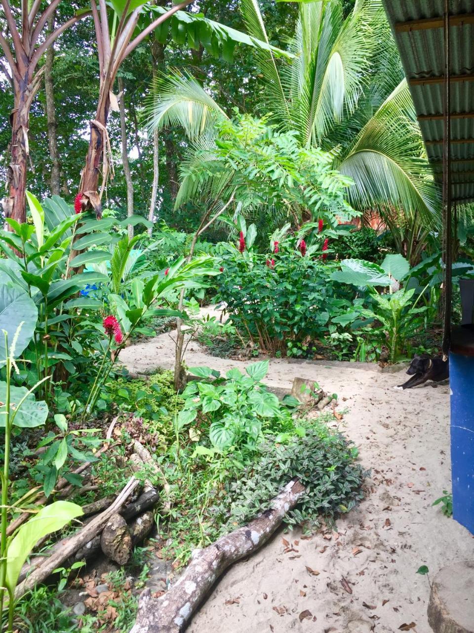 Oasis Puerto Viejo de Talamanca Exterior foto