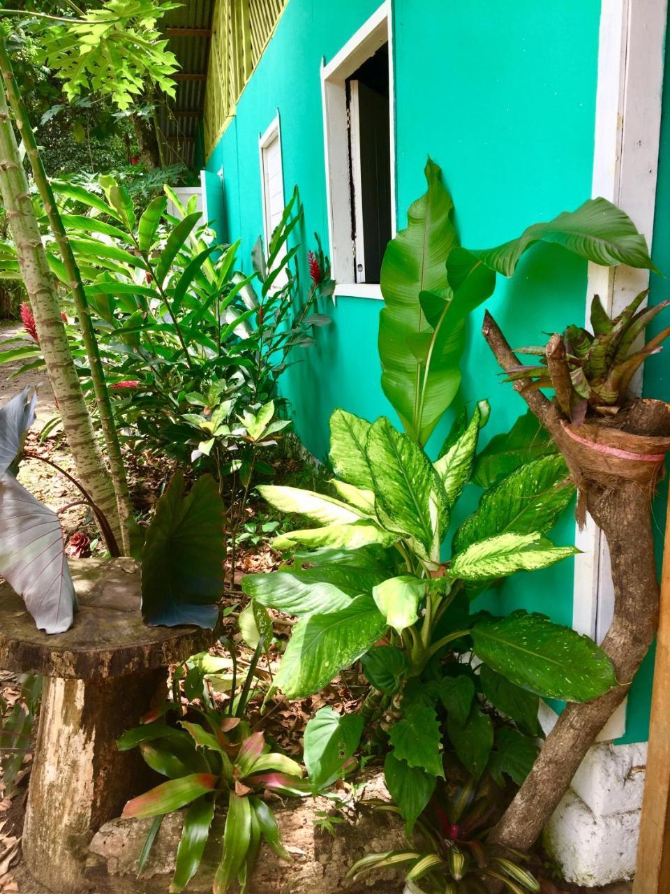 Oasis Puerto Viejo de Talamanca Exterior foto